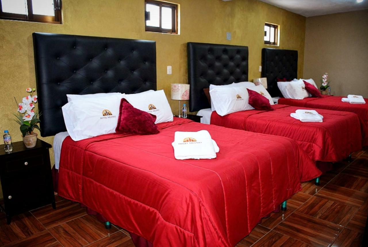 Hotel Milenio Nanacamilpa Tlaxcala エクステリア 写真